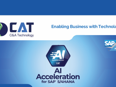 AI ACCELERATION OF SAP® S/4HANA MIGRATIONS, UPGRADES AND OPTIMIZATIONS