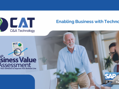 OPTIMIZING THE VALUE OF YOUR SAP® SOLUTION